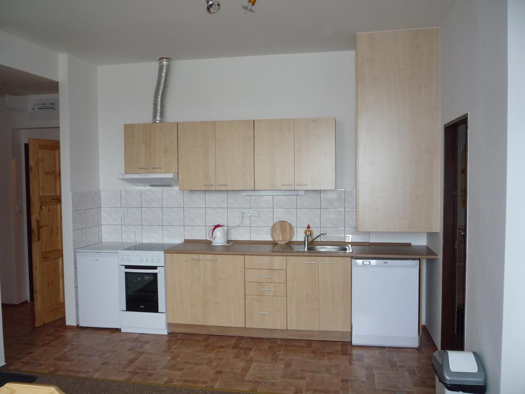 Apartmany Na Vytoni Přední Výtoň 部屋 写真